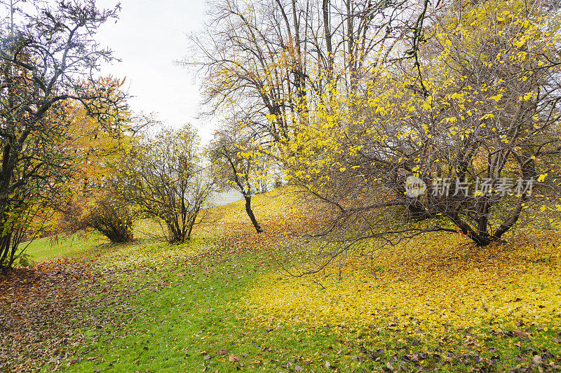 爱德华·蒙克(Edvard Munch)工作室周围花园的秋色。